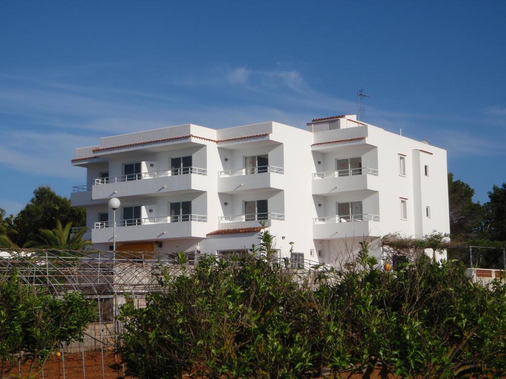 Sunset Oasis Ibiza Adults Only - New Rooms 2025 Сан-Антоніо Екстер'єр фото